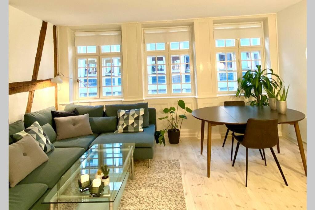 コペンハーゲンLuxury 'Kings Garden' City-Flat In Center Of Townアパートメント エクステリア 写真