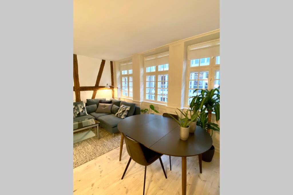 コペンハーゲンLuxury 'Kings Garden' City-Flat In Center Of Townアパートメント エクステリア 写真